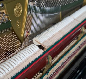 Bechstein Concert 8 Piano Hammers