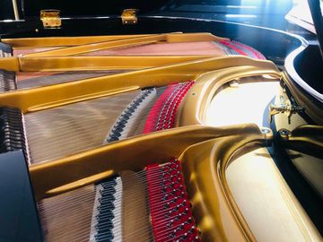 Inside the Bosendorfer Baby Grand Piano