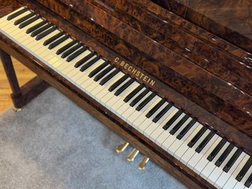 C. Bechstein Elegance R 124 Piano Keys