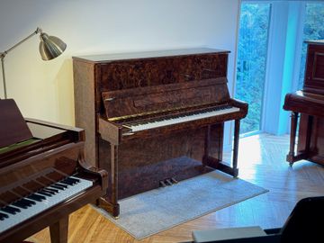 C. Bechstein Elegance R 124 Piano Display
