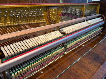 Inside Rieger-Kloss Moderna 118 Upright Piano