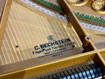 Inside the C. Bechstein Model M Grand Piano