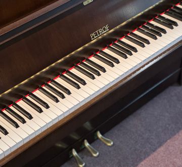 Petrof Upright Piano Keys