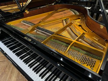 W. Hoffman T177 Grand Piano from above