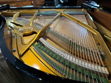 W. Hoffman T177 Grand Piano mechanism