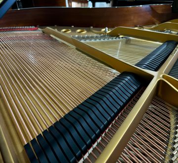 Steinway 1960 Model M inside