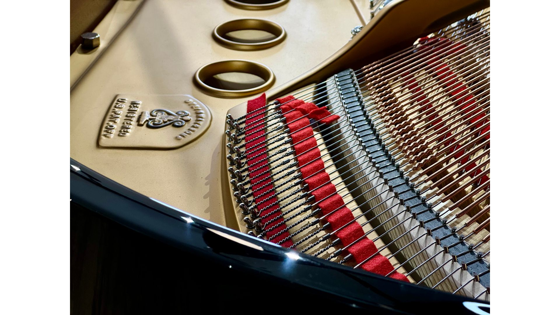 Steinway 1960 Model M close-up