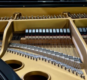 Steinway 1960 Model M close-up