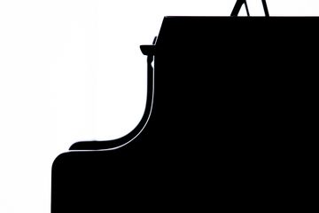 Kawai GL-20 Grand Piano side view