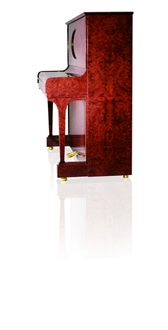 C. Bechstein Concert 8 Vavona Burl Walnut Piano side view