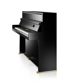 C.Bechstein Residence R2 Millenium Piano side view