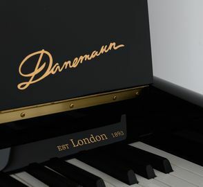 Danemann DU-123 Upright Piano keys