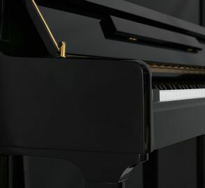 Danemann DU-123 Upright Piano close-up