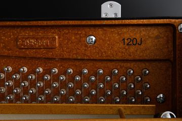 Hailun 120 J Polished ebony