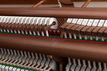 Hailun H-5P piano hammers