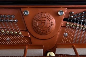 Close-up of Hailun H9-P logo crest