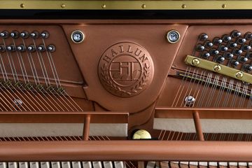 Hailun H9-P piano inner system