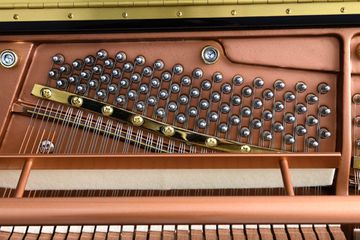 Hailun H9-P piano internal shot