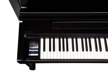 K500 Piano Aures Panel