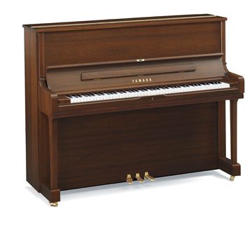 Yamaha YUS1 Satin American Walnut