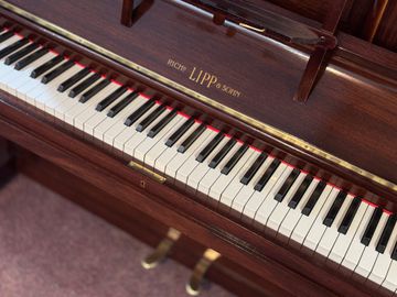 Richard Lipp & Sohn Upright Piano keys