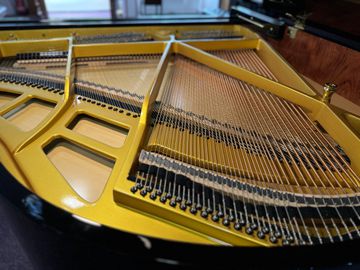 Inside a Steinhoven SG148 Baby Grand Piano