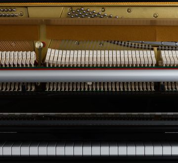 Danemann DU-115 Piano Hammers Full View