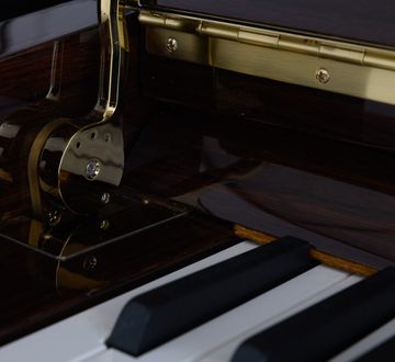 Danemann DU-110 close-up of keys