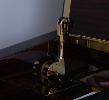 Danemann DU-110 piano lid