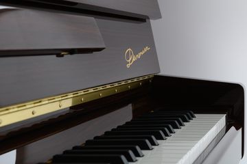 Danemann DU-110 Upright Piano keys