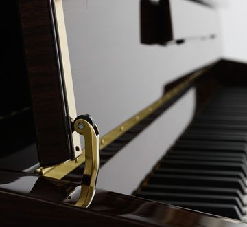 Danemann DU-110 keys