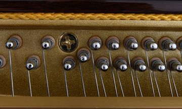 Danemann DU-110 Upright Piano inside
