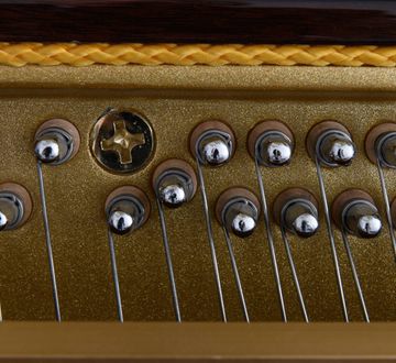 Danemann DU-110 Upright Piano inside