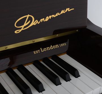 Danemann DU-115 Piano keys close-up