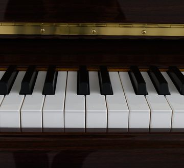 Danemann DU-115 Piano keys