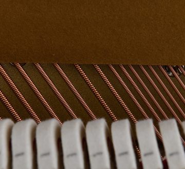Danemann DU-115 Upright Piano hammers
