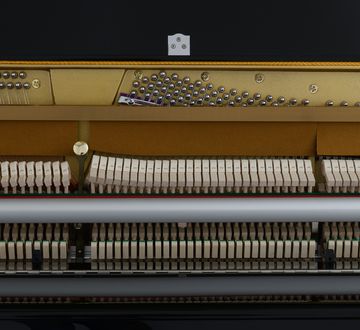 Danemann DU-110 Piano Inside