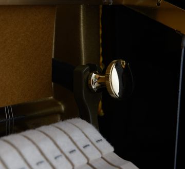 Danemann DU-110 Piano Inside