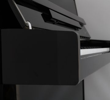 Danemann DU-110 Piano Close-up