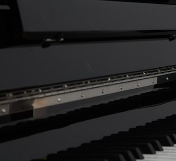 Danemann DU-110 Piano close-up