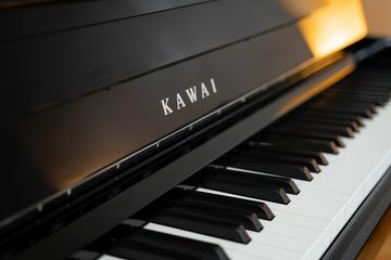 Kawai CA901 Piano keys