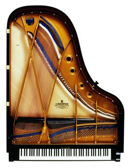 C. Bechstein B212 Grand Piano from above