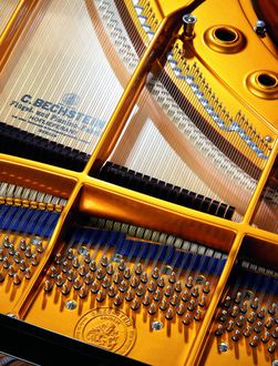 C. Bechstein C234 Grand Piano Inside