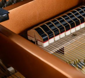 Danemann DG-152 Grand Piano hammers