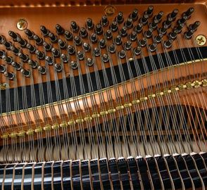 Danemann DG-152 Grand Piano mechanism