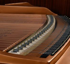 Danemann DG-152 Grand Piano strings
