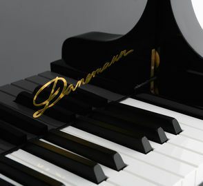 Danemann DG-152 Grand Piano keys