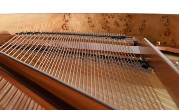 Hailun HG 151 Birdseye maple inlay inner rim 2