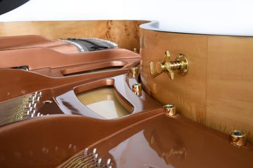 Hailun HG 151 Birdseye maple inlay inner rim 3