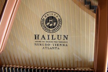 Hailun HG 151 Brand Logo on soundboard
